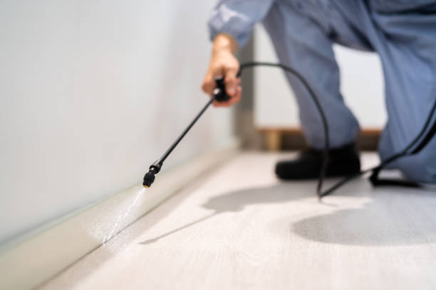Professional exterminator conducting IPM assessment in Montz