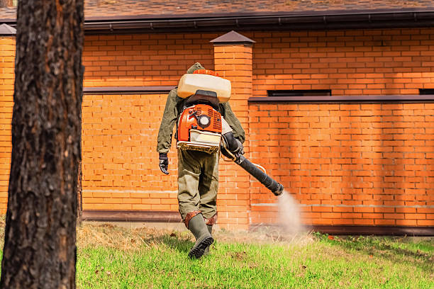 Top rated local Mosquito Control specialists in Montz, LA